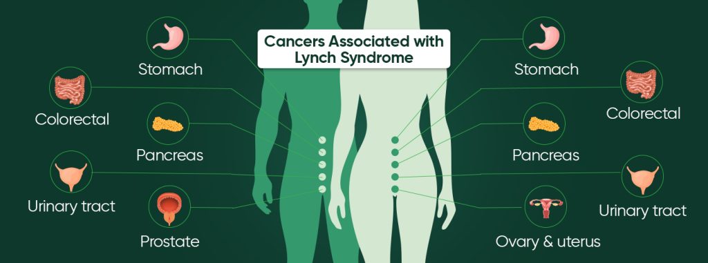 Types of cancer linked to Lynch syndrome including colon, uterus, ovary, and stomach cancer.